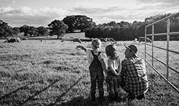 Father and two daughters in a field with cows in the distance.