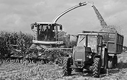 Tractors in a field.