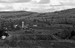 Farmhouse in the distance.