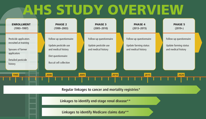Graphic showing the 5 phases of the study.  Phase 1 (1993-1997), Phase 2 (1999-2003), Phase 3 (2005-2010), Phase 4 (2013-2014), Phase 5 (2019-).